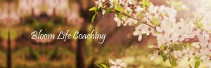 Life coaching for birth moms