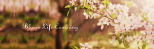 LIfe coaching for Birth MOms