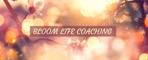 life coaching for birth moms